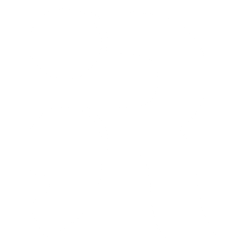RootRace Logo
